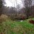 Abfischen der Dittmer-Teiche 22.11.03